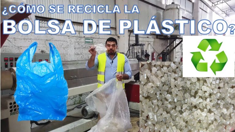 ¿Dónde desechar bolsas de plástico de forma adecuada?